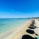 Apartament Il Nido Del Gabbiano